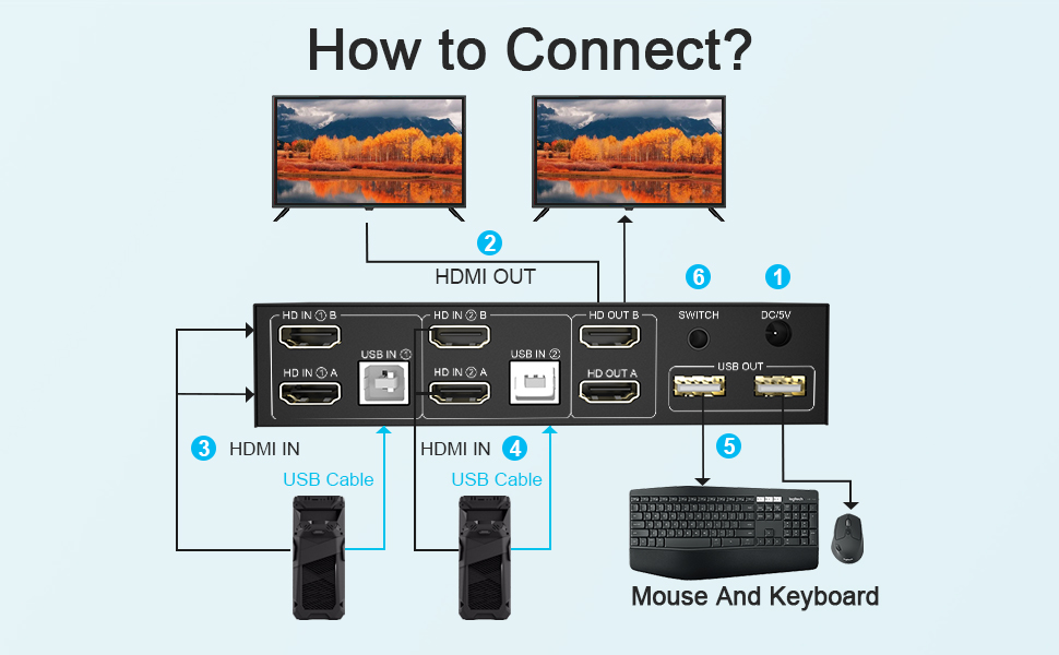 dual monitor switch