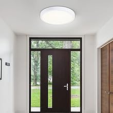 brushed nickel light fixture