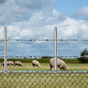 Dog fence jumping prevention