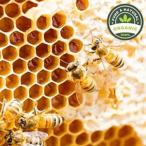 organic beeswax, unscented balm, natural herbal salve