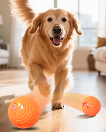 interactive dog toy
