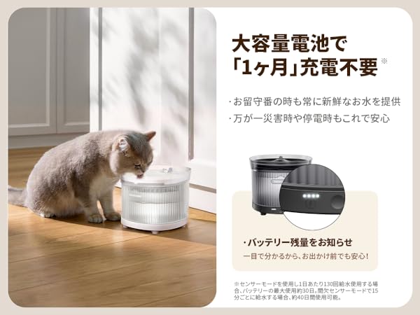 ホームランペット　homerunPET  給水機　猫　犬　白 楽天市場】【お買い物マラソン限定最大20％OFF】自動給水器 猫
