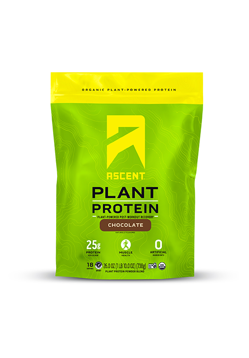 plant protein powder ascent