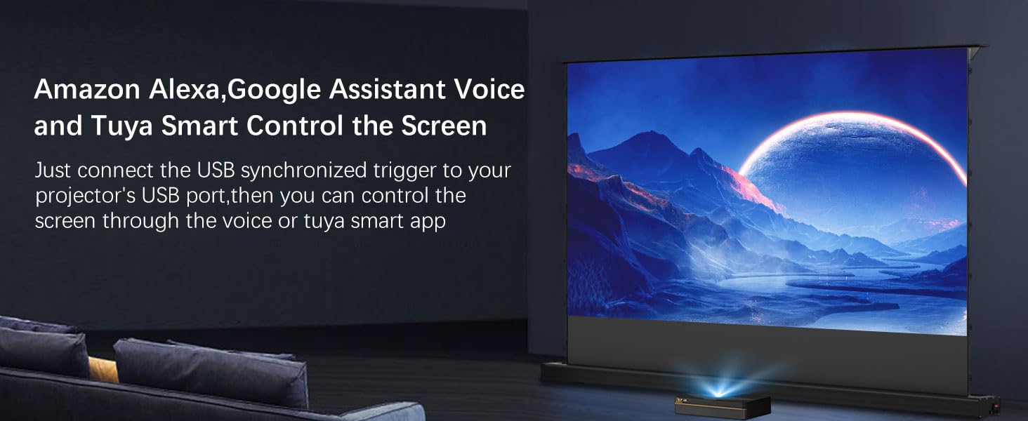 projector screen motorized