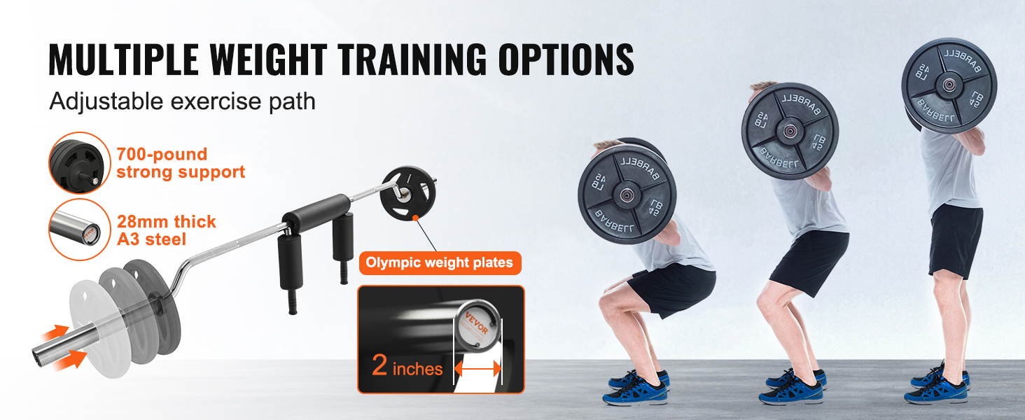 Safety Squat Olympic Bar