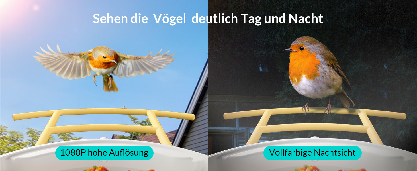 nachtsicht-Futterstationen für Wildvögel
