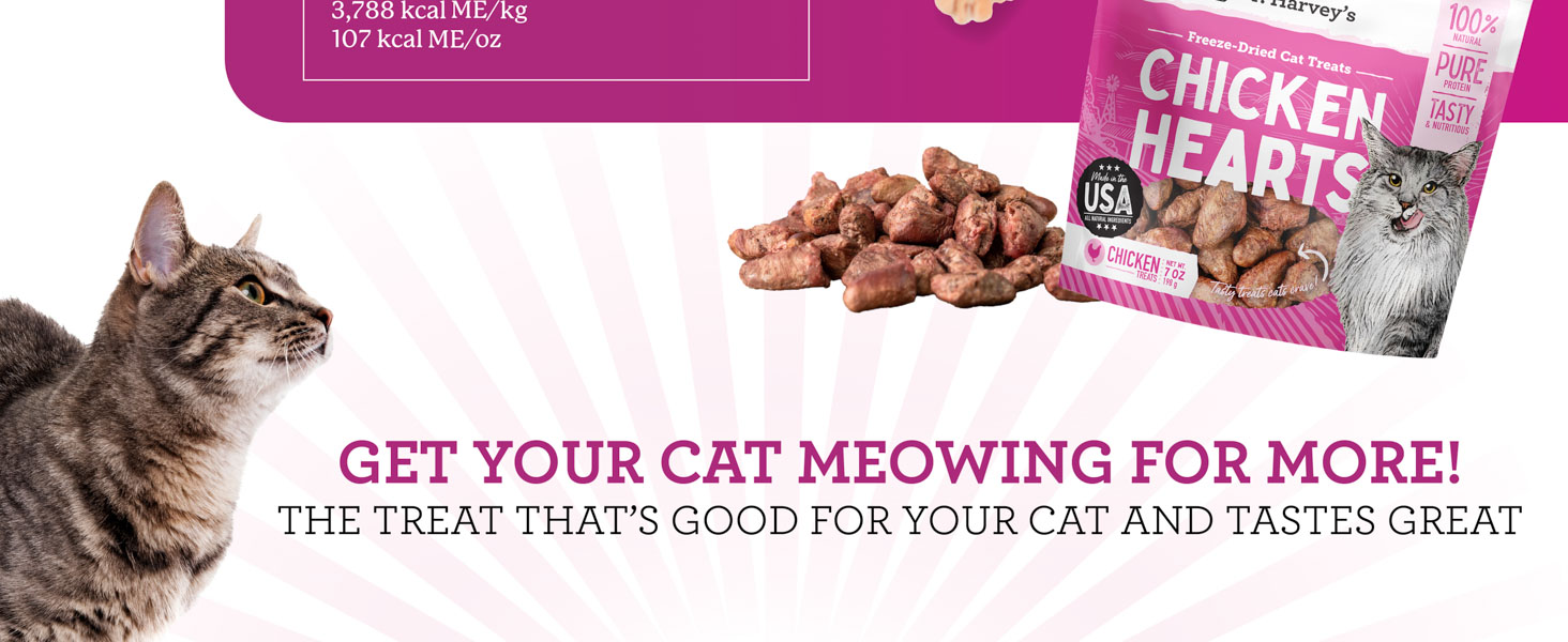 chicken hearts for cats natural source food