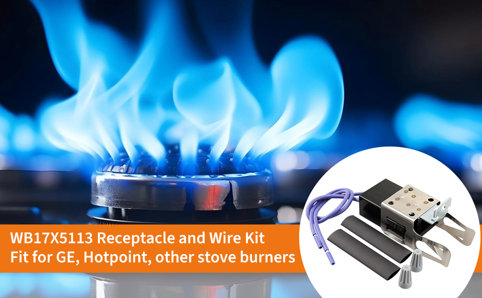 WB17X5113 Element Receptacle 