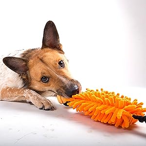 DINGO Floatable Tug Toy with a Flavoured Ball and... 30 orange dog toy, bungee chaser
