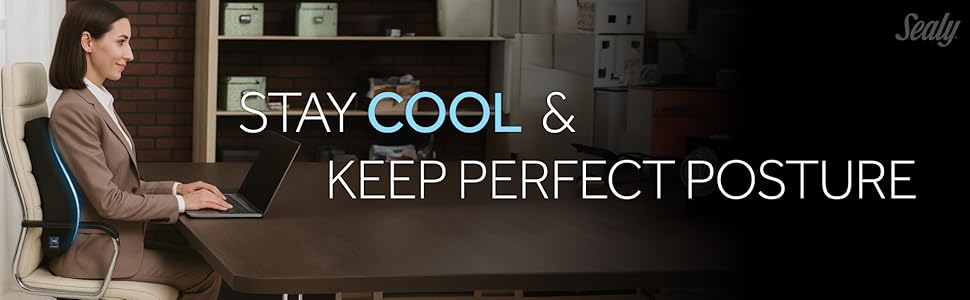 lumbar support cushion backrest office chair posture support cooling pad ergonomic back support