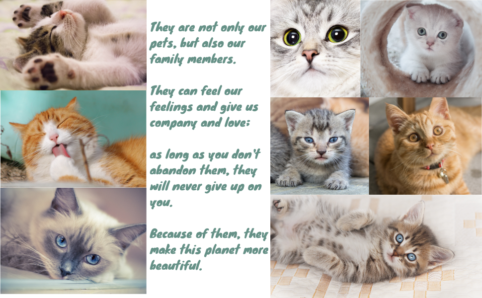 Home Wing Litter Box Liners, Heavy Duty Cat Litter Liners