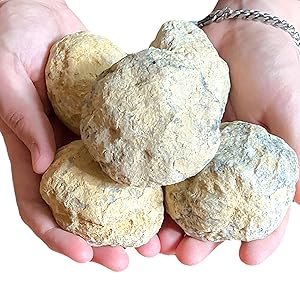 Geoden Set Tennisball