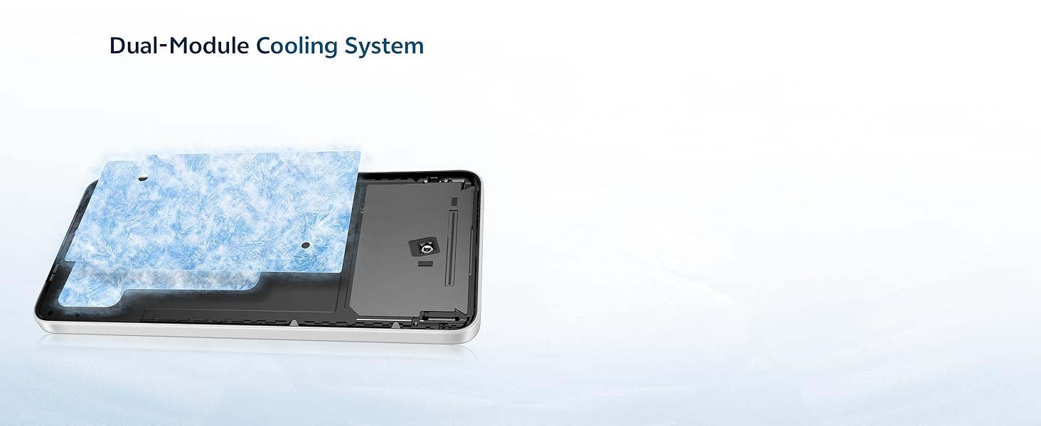 Dual-Module Cooling System