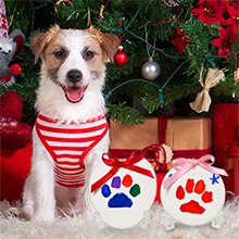 Pawprint Keepsake Kit