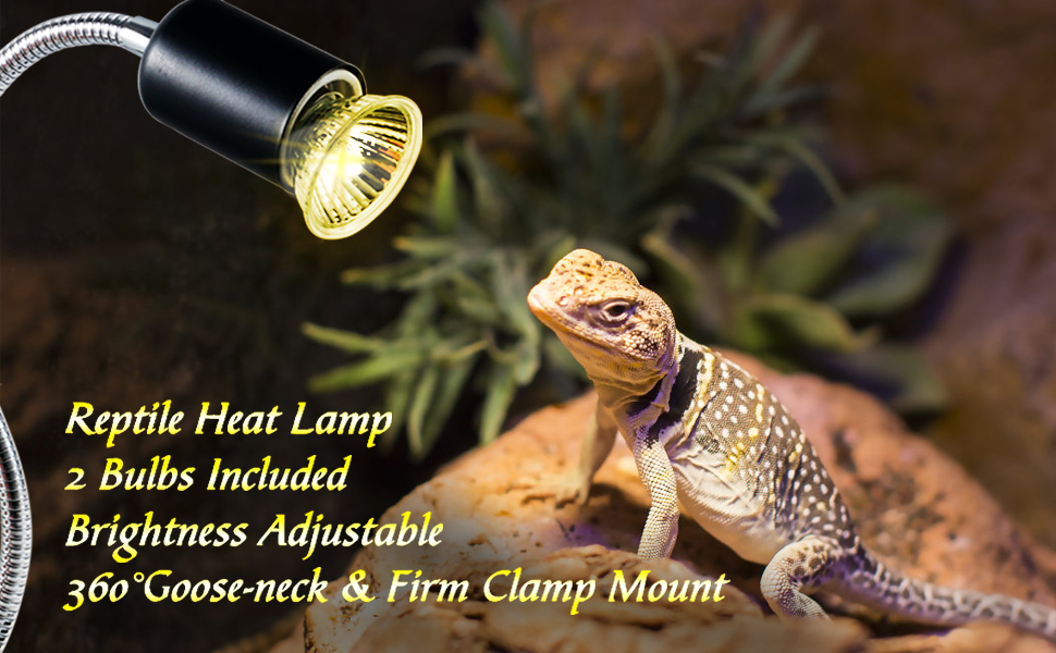 LETGOALL Reptile Heat Lamp, Basking Spot Lamp, UVA + UVB