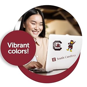 Woman using laptop with University of South Carolina stickers on it, Cocky, Gamecocks