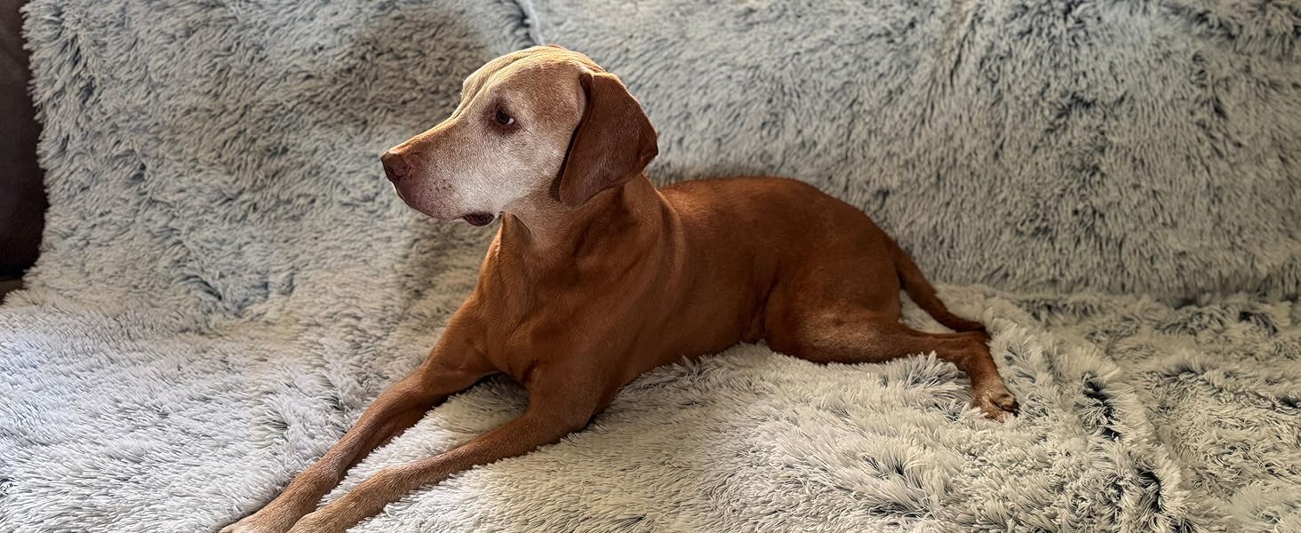 Dog Bed Blanket for medium dogs