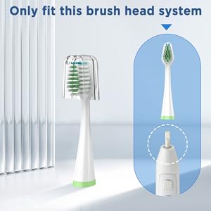 aquasonic duo toothbrush heads