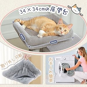 Amazon | PAWZ Road キャットタワー ミニ 低い 子猫向け 猫