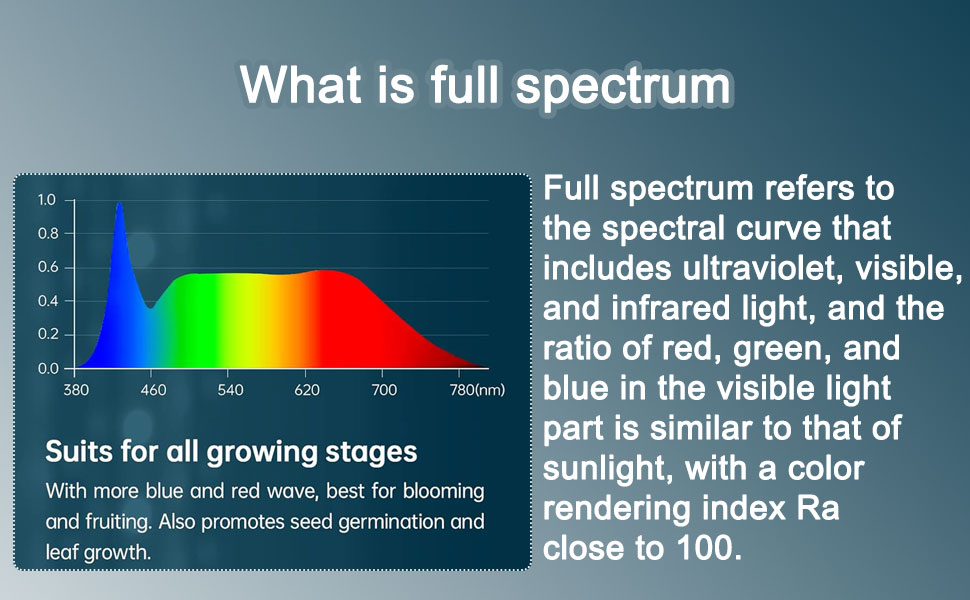 spectrogram