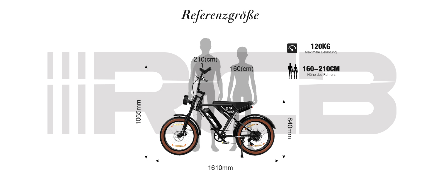 e bike