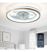 FTZVRD Ceiling Fan with Light and Remote, 19