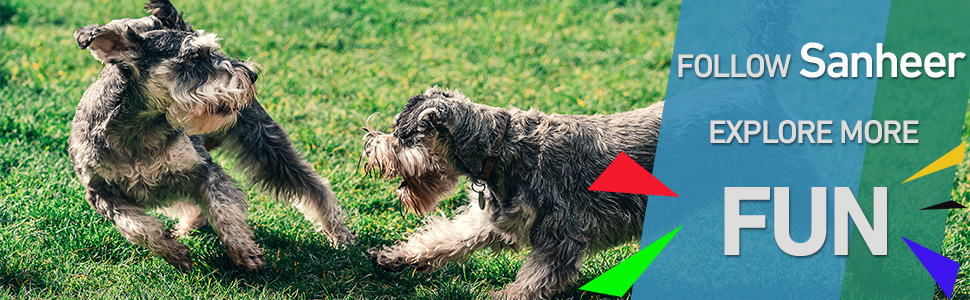 dog toys for medium dogs