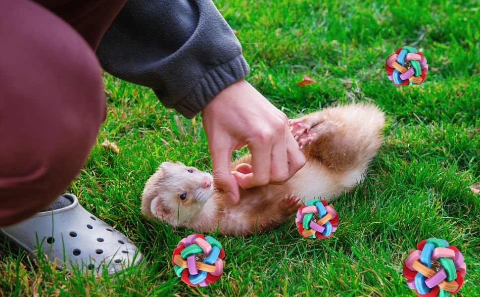 4 Pack Ferret Toys Balls Colorful Bouncy Rubber Balls with Builtin Bell Ferret