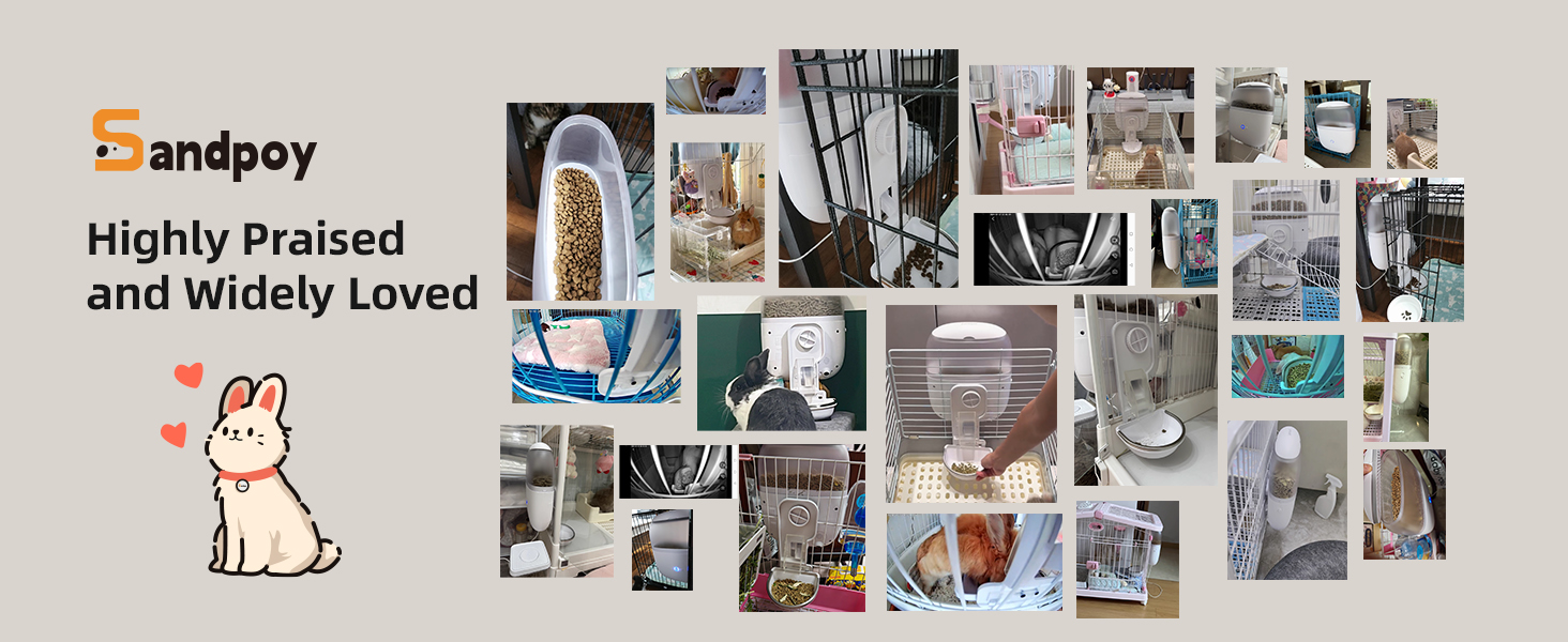 bunny feeder for cage