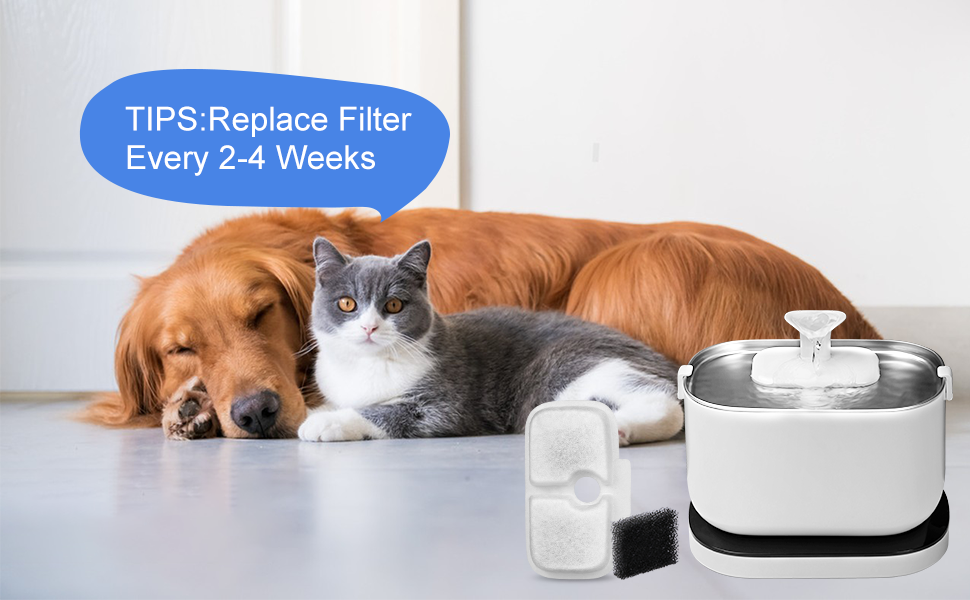 Bravelk 8 Packs Replacement Filters for Dockstream Cat