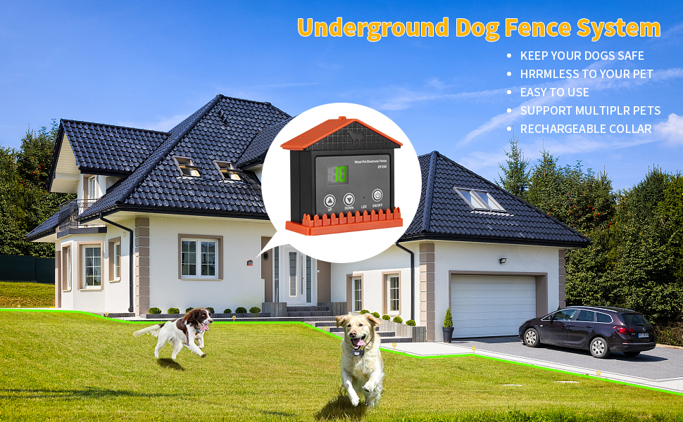 Electric Underground Dog Fence System, InGround Wired Pet