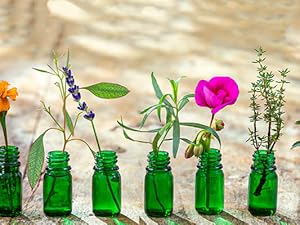 Plant Derived Ingredients