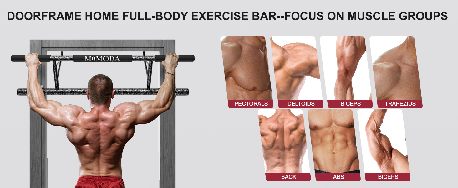 Pull Up Bar