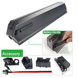 Dorado Plus E-Bike Battery 48V