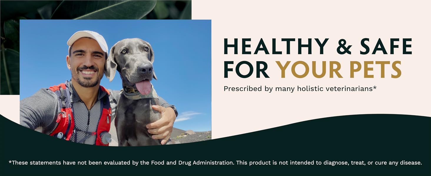 Healthy and Safe for Your Pets