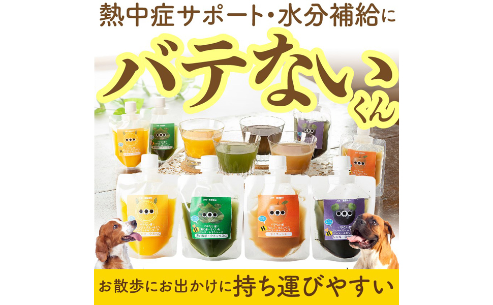 中型犬用オレンジ水分補給器具 楽天市場】犬 給水器 ホルダー ｜ 給水機 アタッチメント セット