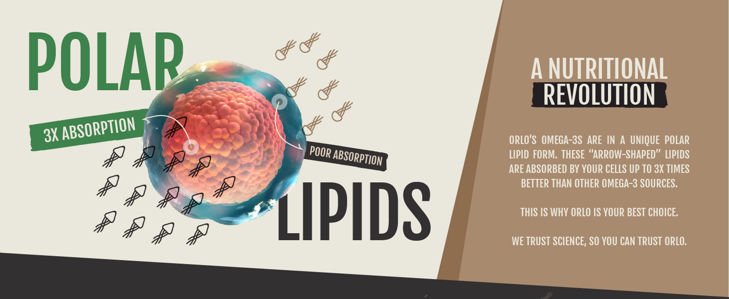 Omega 3 Omega3 Omega-3 Omega 3s Vegan DHA Brain EPA Algae Fish Oil Prenatal Lactation Breastfeeding