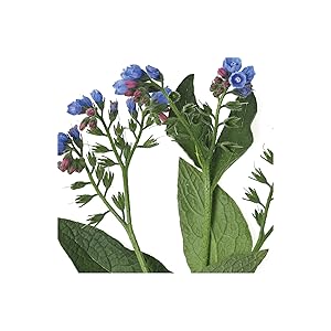 allione_peelinggel_al