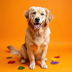 NutriPetz No Poo Chews for Dogs