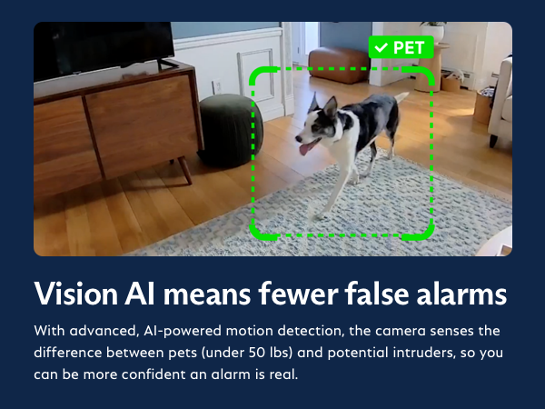 AI motion detection will not detect pets