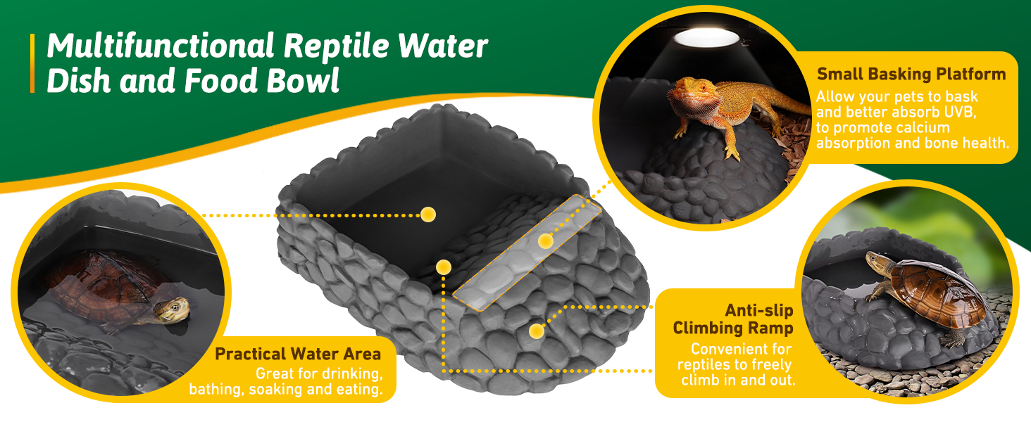 bearded dragon tank accessories