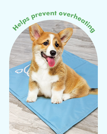 dog cooling mats