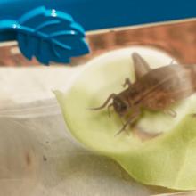 Small manufacture image 6