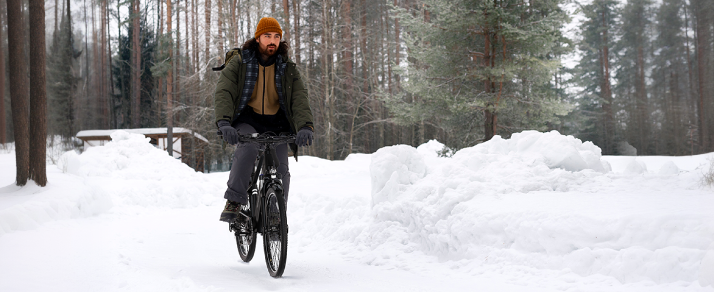 Electric Bike for Adults