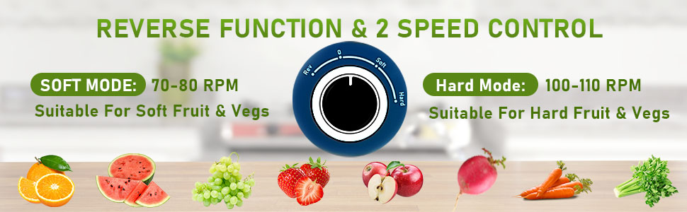slow juicer