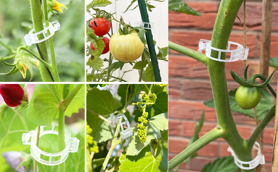 Jvoiyae 300Pcs Tomato Clips, Plastic Trellis Clips Plant Support Clips, Grape Vine