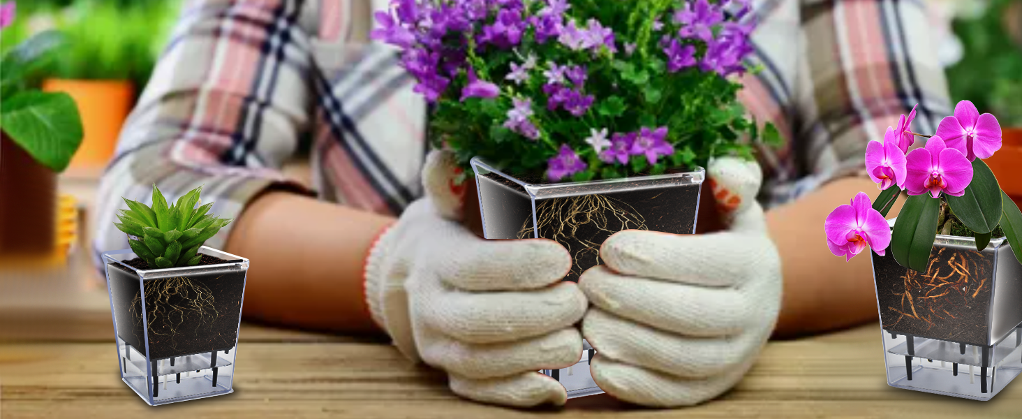 indoor plant pots