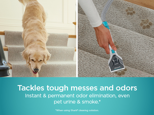 Tackles tough messes and odors