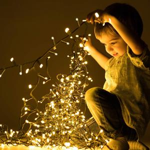 green wire warm white lights