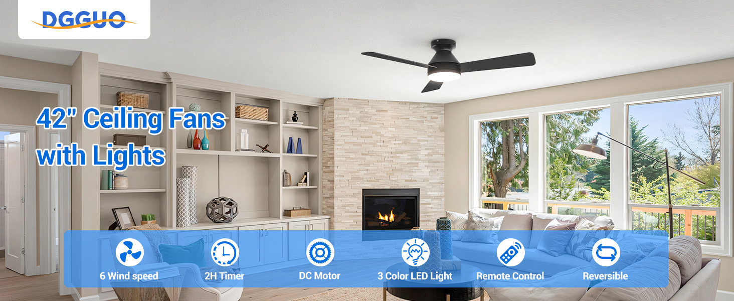 celling fan with lights